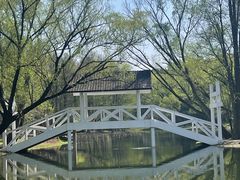 -上海共青森林公园