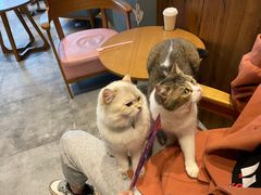 -凯德广场(武胜路店)