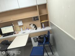 -谐和益家动物医院·免疫绝育·血液透析·宠保定点医院(高新伊藤分院)