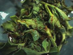 -翠湖宾馆·中餐厅