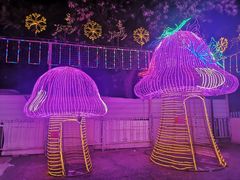 -新五爱道夜市
