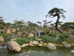 -罗红摄影艺术馆