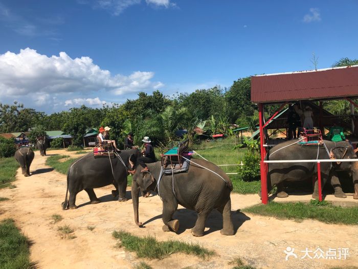 海景大象营图片 - 第7张