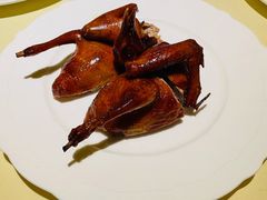 红烧乳鸽-惠食佳(滨江大公馆店)