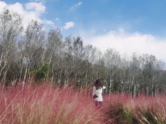 -东郊湿地公园
