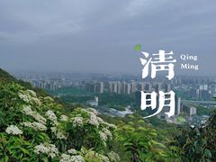 -杭州半山国家森林公园