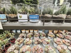 -鹿岛生活(熙地港店)