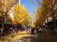 -小龙坎火锅(华凌店)