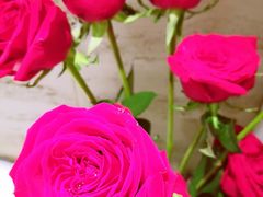 -同喜烤鸭店(光芒店)