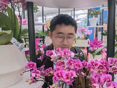 -荷兰花海
