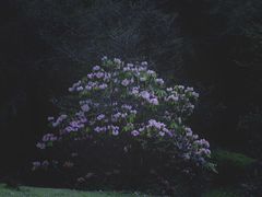 -硗碛藏寨·神木垒景区