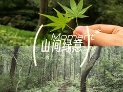 -句容茅山景区