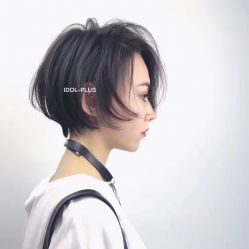 -IDOL PLUS 