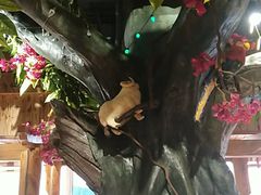 -草原塞蛮羊火锅城(港湾店)