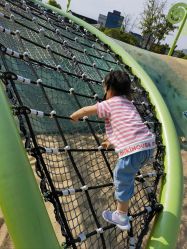 点击看大图 -季高兔窝窝亲子园(上海薰衣草公园店)