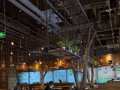 大堂-同仁四季椰子鸡(宝安壹方城店)
