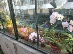 -国家植物园南园