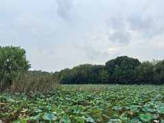 -池州市平天湖风景区