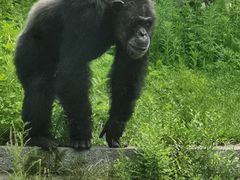 -哈尔滨北方森林动物园