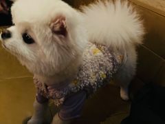 -the rug 飞毯 (朝阳公园店)