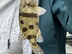 -新怡路亚垂钓园