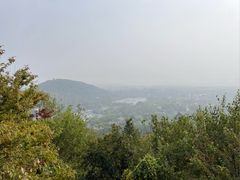 -上海佘山国家森林公园西佘山园