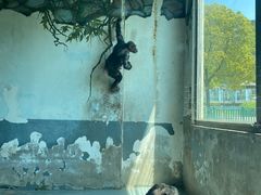 -无锡动物园·太湖欢乐园
