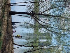 -长白岛森林公园