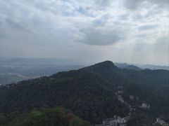 -大金鹰园
