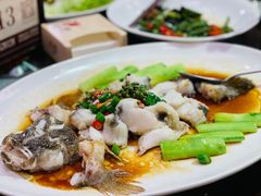 鲜花椒蒸桂花鲈-猪肉婆私房菜(容桂总店)