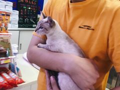-宠颐生中康贝怡动物医院