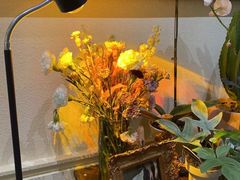 -也枫·小黄楼(南山路旗舰店)