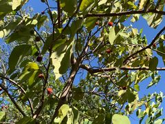 -北京西山国家森林公园