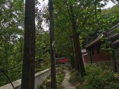 -阳台山自然风景区