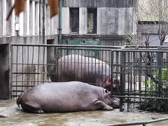 -成都动物园