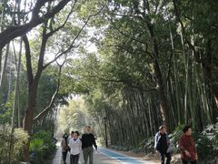 -苏州河梦清园环保主题公园