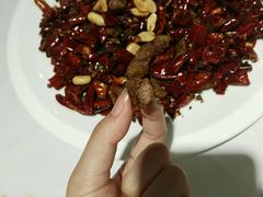 眉山牛肉-峨嵋酒家总店(车公庄店)