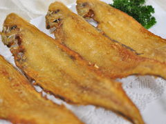 -新净雅烹小鲜(学院路店)