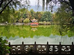 -三塔倒影公园