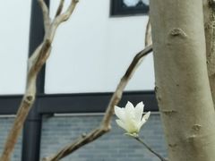 -上海皇廷花园酒店·御宴中餐厅