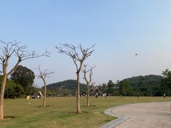 -大屏嶂森林公园