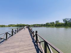 -溱湖国家湿地公园