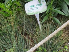 -北京植物园南门售票处