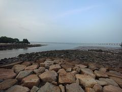 -宝安西湾红树林湿地公园