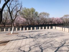 -北陵公园