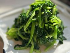 清炒鸡毛菜-19号私房菜(云南路店)