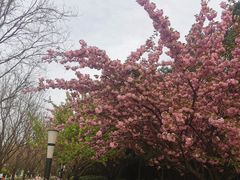 -城市运动公园(未央区)