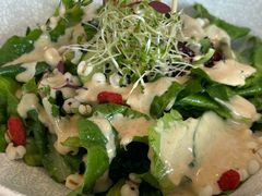 -茹·pure vegan(博华广场店)