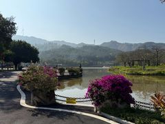 -佛冈森波拉度假区