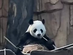 -泉州海丝野生动物世界